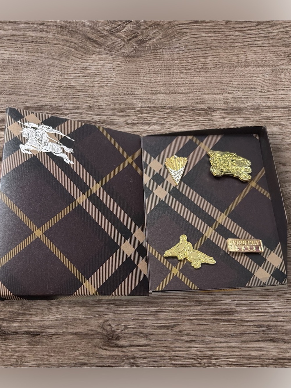 Burberry Pin Set